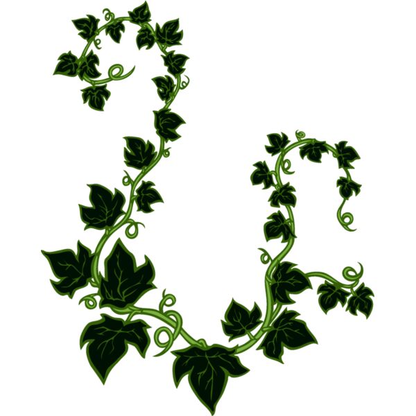 esleaves001clr Thumbnail