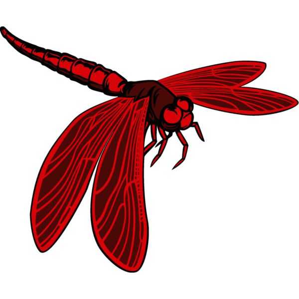 esdragonfly001clr Thumbnail