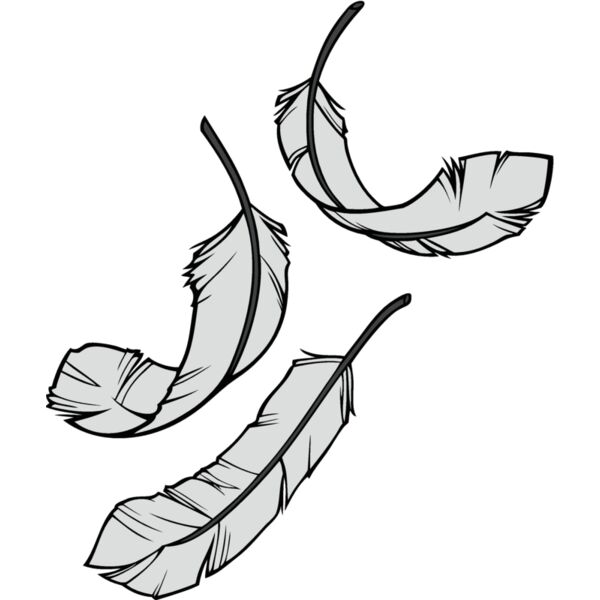 feathers08 Thumbnail