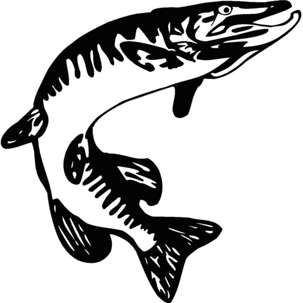 northern pike02 Thumbnail