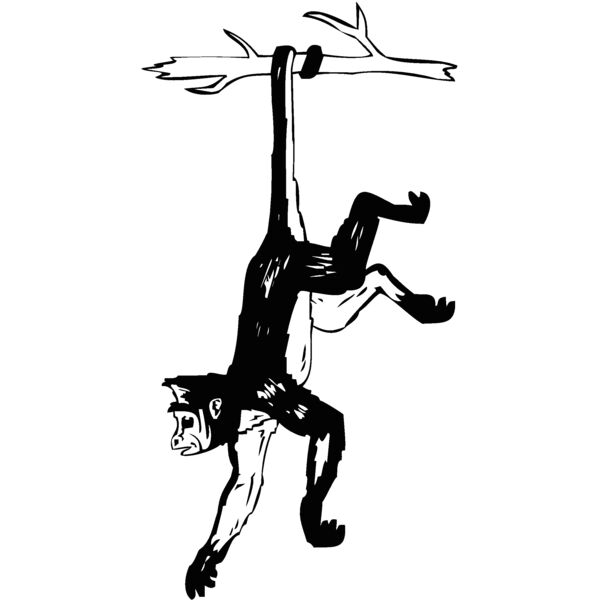 hangingmonkey Thumbnail