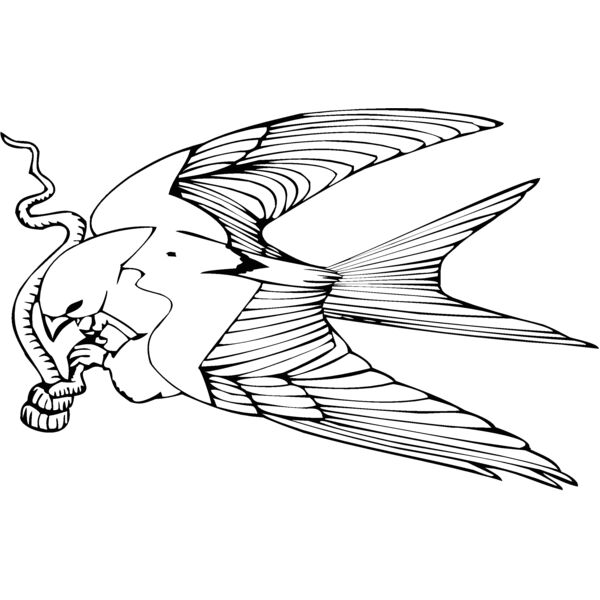 birdeatingworm Thumbnail