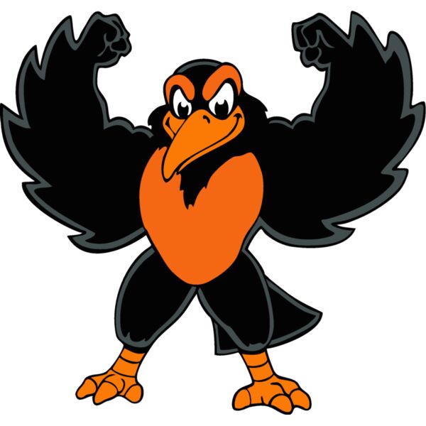 oriolemsct01 Thumbnail