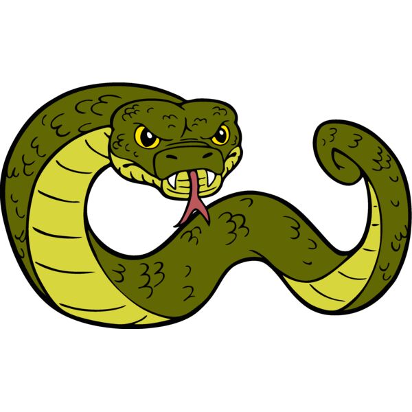 snakemsct05 Thumbnail