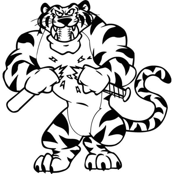 tigerbsball2 Thumbnail
