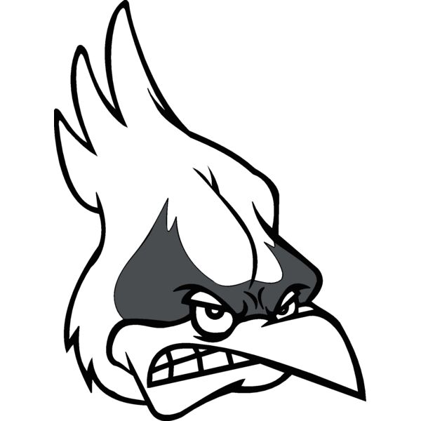 cardinalbluejay2 Thumbnail