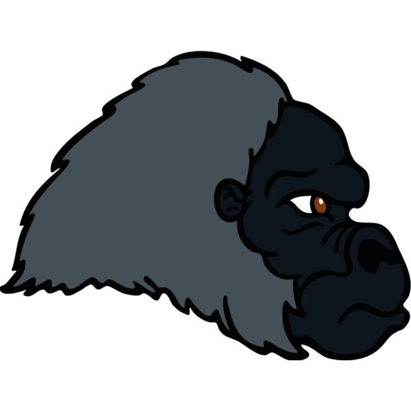 gorilla 19 Thumbnail