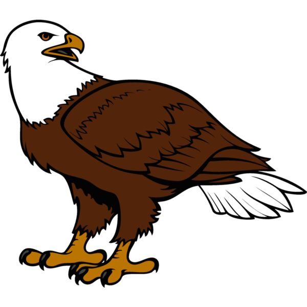 eagle18v4clr Thumbnail