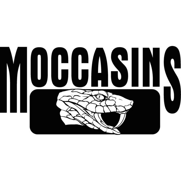 moccasins Thumbnail