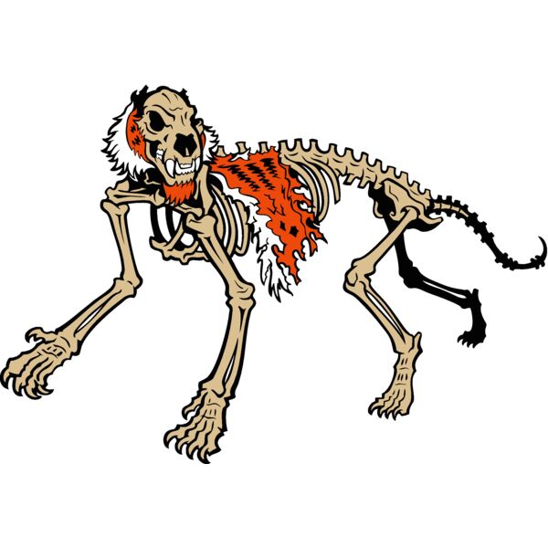 tiger skeleton Thumbnail