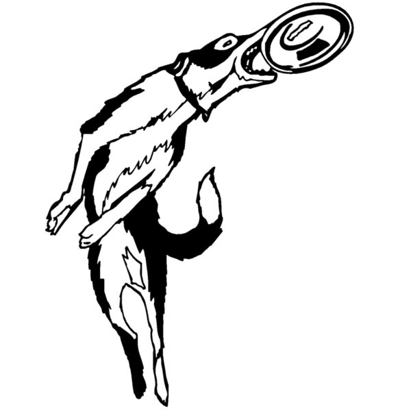 frisbeedog Thumbnail